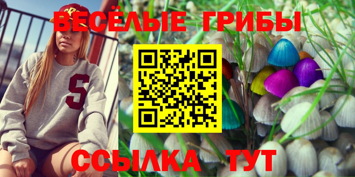 Галлюциногенные грибы Psilocybe Ижевск