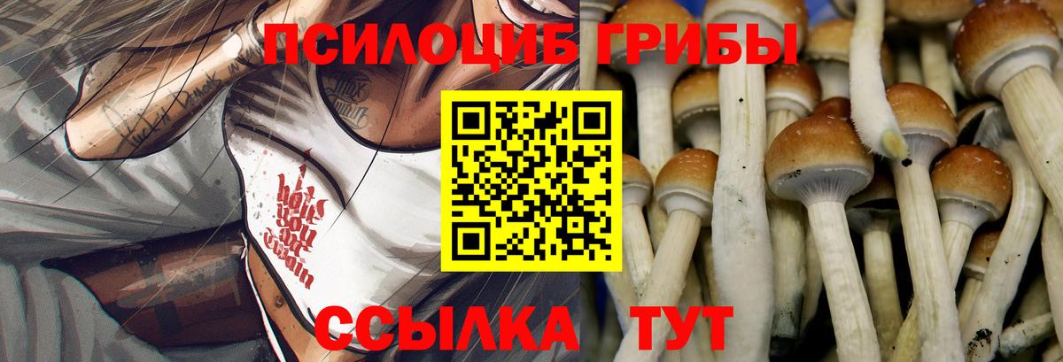 Ижевск  Псилоцибиновые грибы Magic Shrooms  Вход с VPN  наркотики  Галлюциногенные грибы GOLDEN TEACHER 